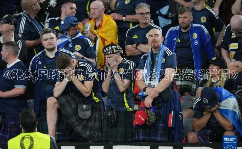 球速体育登录入口知乎《张红足球运动员个人简历及荣誉资料详解》