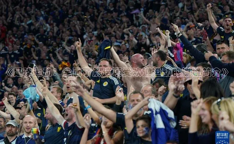 球速体育app登录入口百度人工翻译《足球运动：全面了解这项受欢迎运动的课程简介》