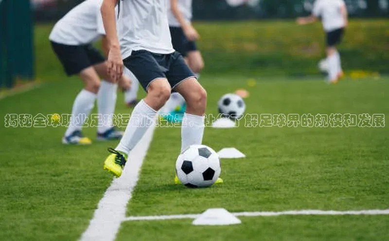 球速体育网页版登录入口神思电子揭秘全球职业足球运动员数量，让您了解足球界的规模和发展