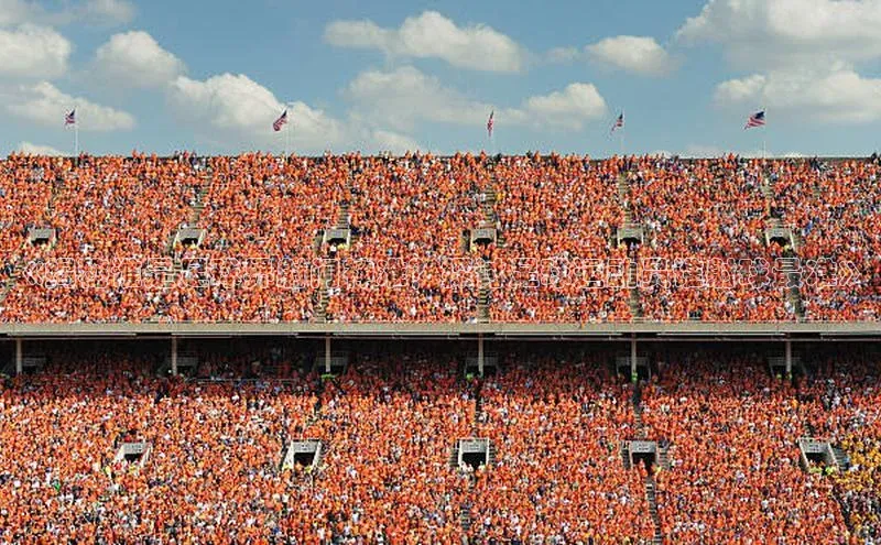 球速体育welcome姚记科技《揭秘谁是足球界射门神准？探讨足球运动员谁射球最准》