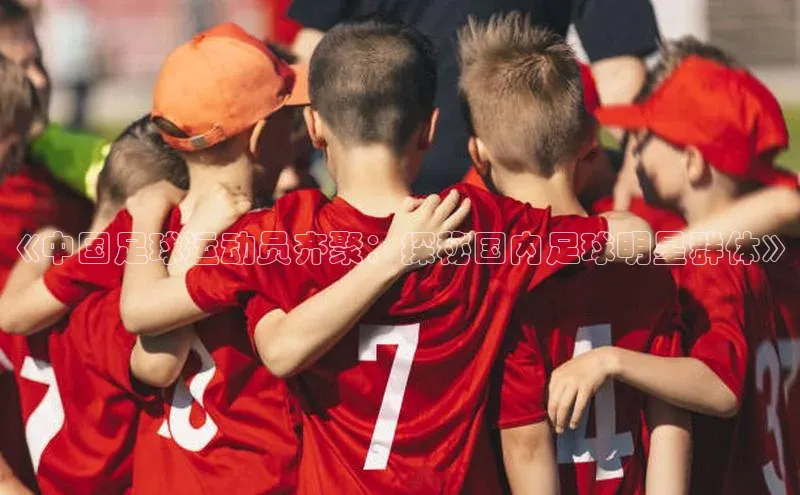 球速体育welcome姚记科技《中国足球运动员齐聚：探秘国内足球明星群体》
