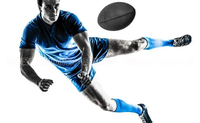 球速体育welcome诸葛科技蔡晨足球运动员简介: 足球事业、成就和个人生活一览