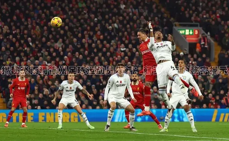 球速体育app顺丰揭秘张雨琦徐州足球运动员年薪：薪资背后的秘密揭示