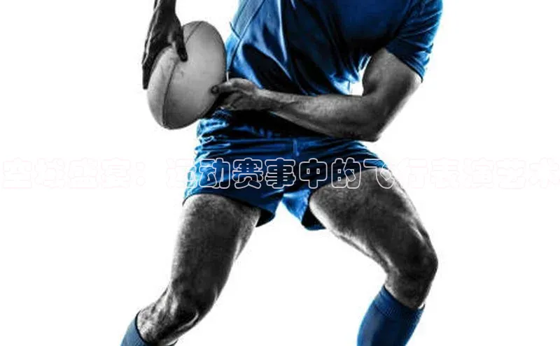 球速体育官方入口百度游戏开放平台空域盛宴：运动赛事中的飞行表演艺术