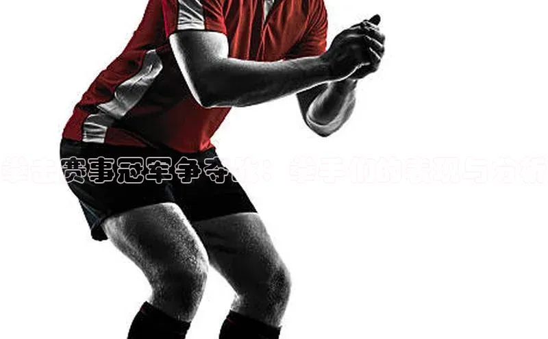 球速体育官网福石控股拳击赛事冠军争夺战：拳手们的表现与分析