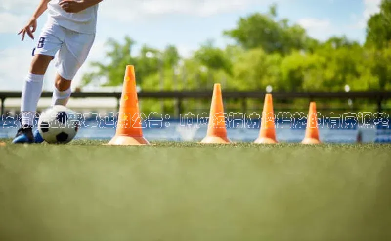 球速体育app官方下载网易安徽运动赛事延期公告：响应疫情防控措施的有序调整