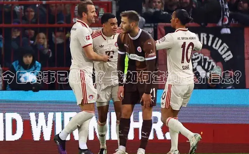 今日赛事已取消？我如何查询最新信息？