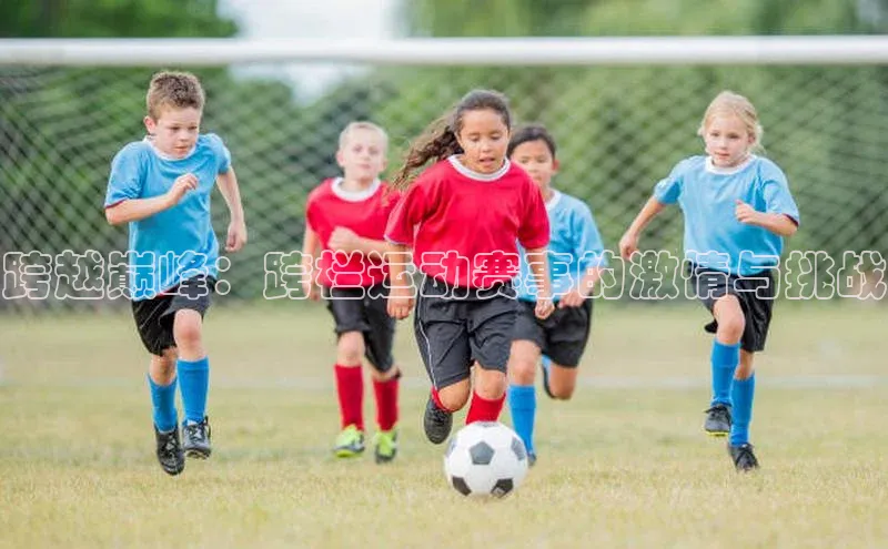 跨越巅峰：跨栏运动赛事的激情与挑战