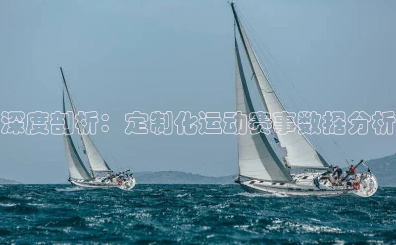 深度剖析：定制化运动赛事数据分析