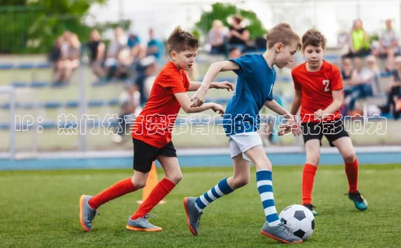 IP：热门体育赛事背后的数字化影响力