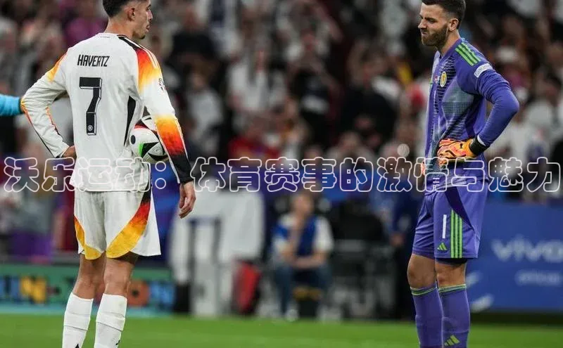 沃乐运动：体育赛事的激情与魅力