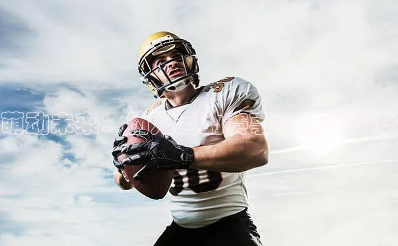 萌动未来：幼儿运动赛事的精彩篇章