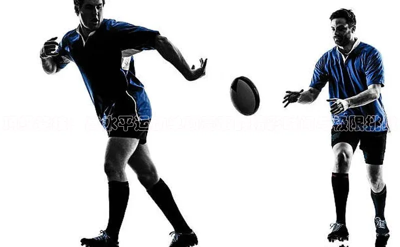 顶级竞技：高水平运动单项赛事的精彩瞬间与极限挑战