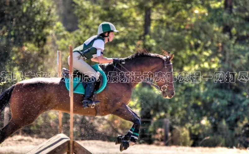 预见未来赛场动态：最新运动赛事赛程一网打尽