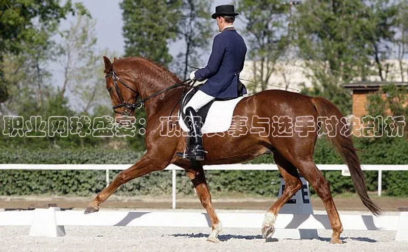 职业网球盛宴：顶级赛事与选手对决剖析