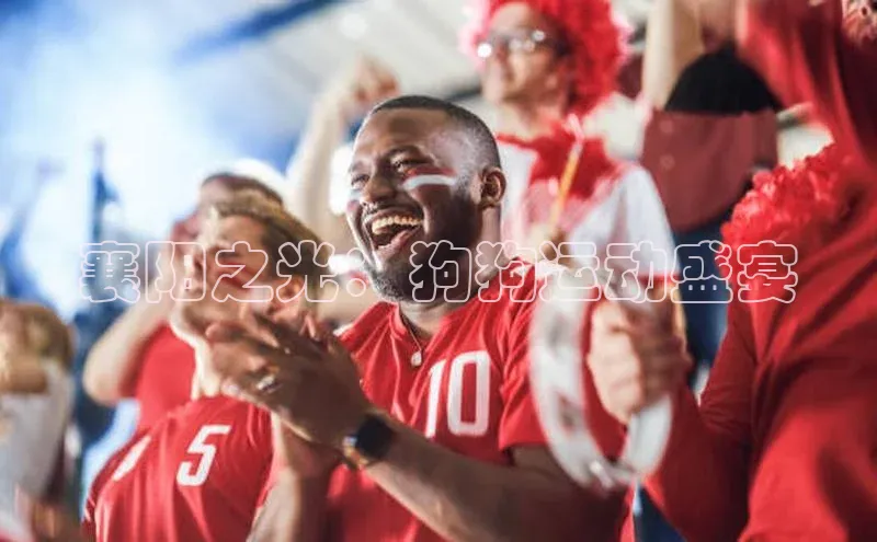 襄阳之光：狗狗运动盛宴