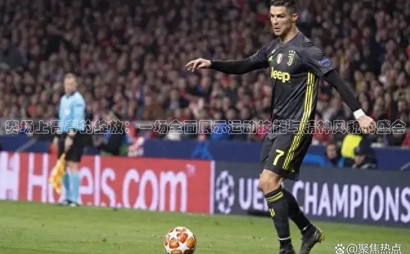 赛场上青春的绽放：一场全面展示运动技能与精神风貌的盛会