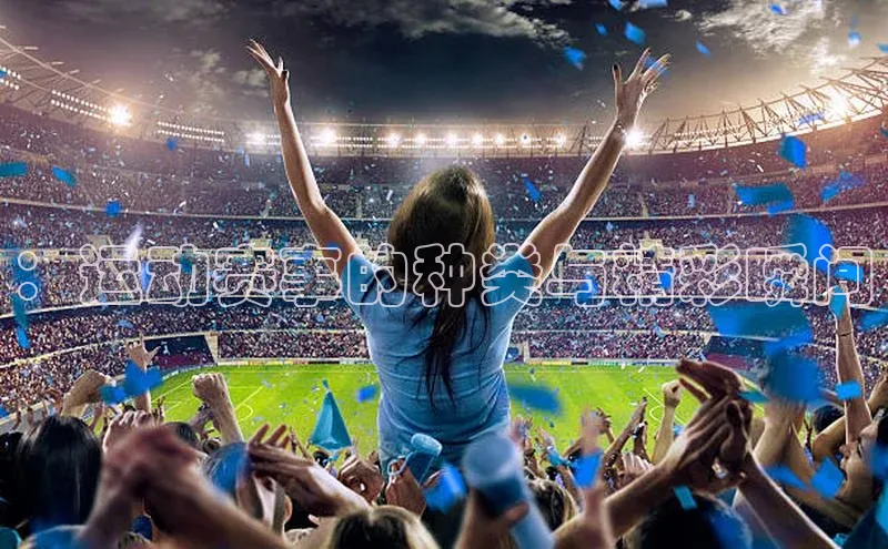 ：运动赛事的种类与精彩瞬间