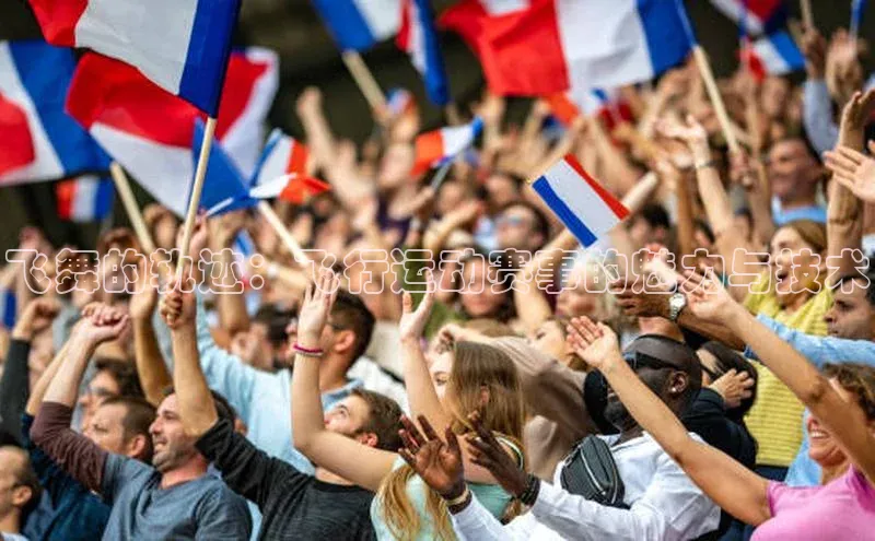 飞舞的轨迹：飞行运动赛事的魅力与技术