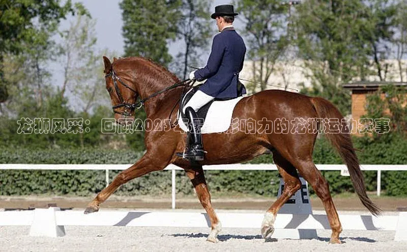 球速体育app官网入口