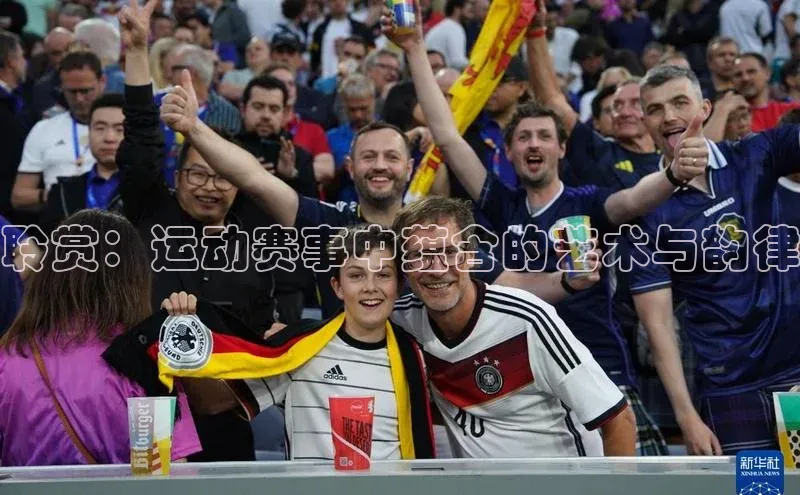 球速体育平台官网入口