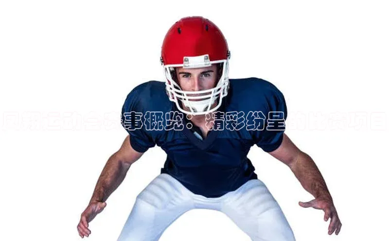 凤翔运动会赛事概览：精彩纷呈的比赛项目