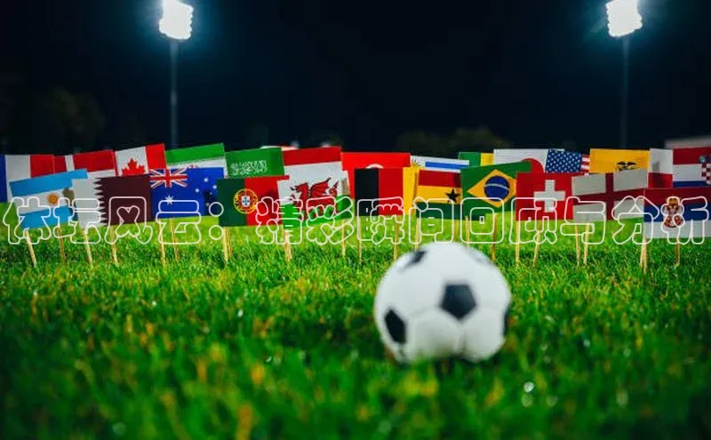 体坛风云：精彩瞬间回顾与分析