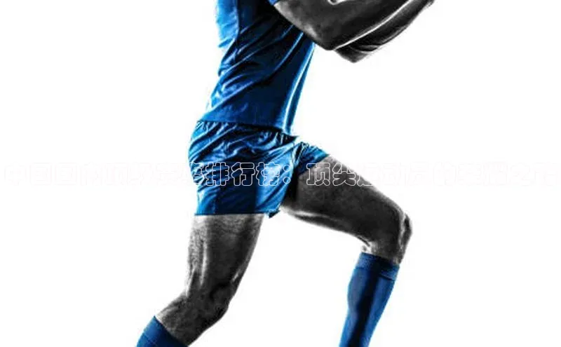 中国国内顶级赛事排行榜：顶尖运动员的荣耀之路