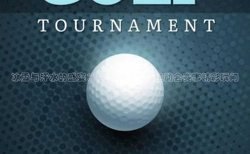 冰雪与汗水的盛宴：回顾2017沈阳运动会赛事精彩瞬间