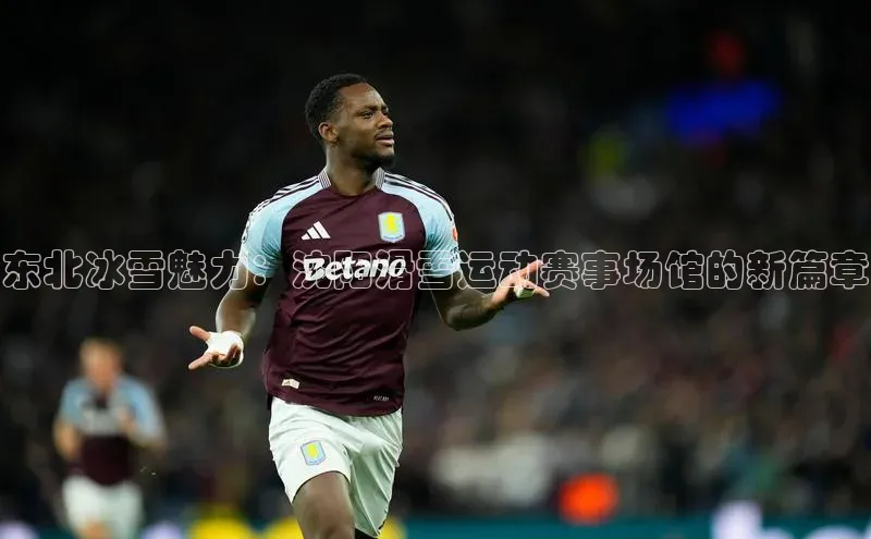 东北冰雪魅力：沈阳滑雪运动赛事场馆的新篇章